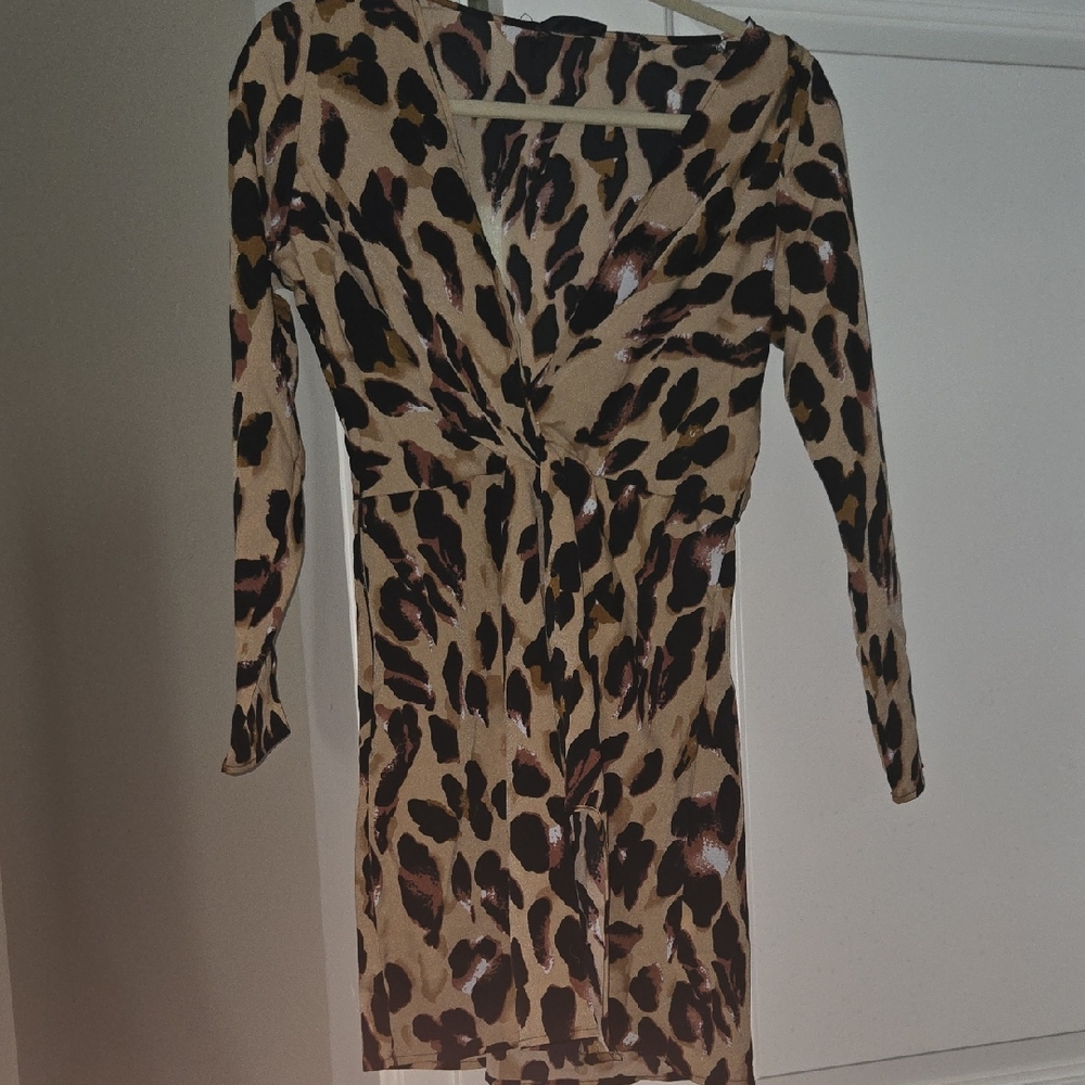 Leopard Print Long Sleeve Dress